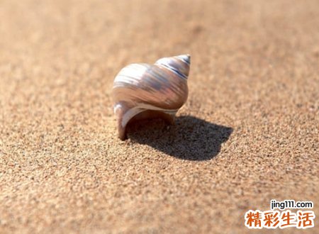 五行属土的吉祥汉字