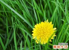 对爱死心的网名