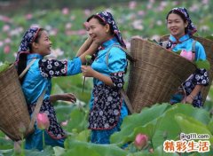 简短可爱的三人闺蜜网名