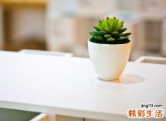 带米字洋气点的名字