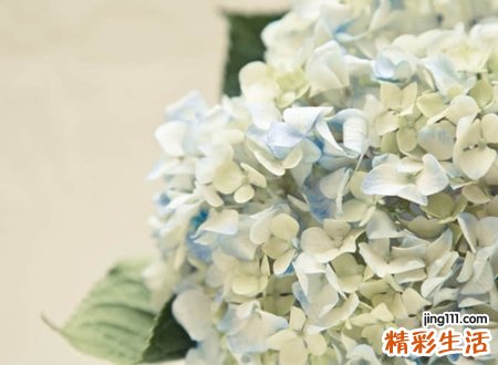 岚字和什么字配好听