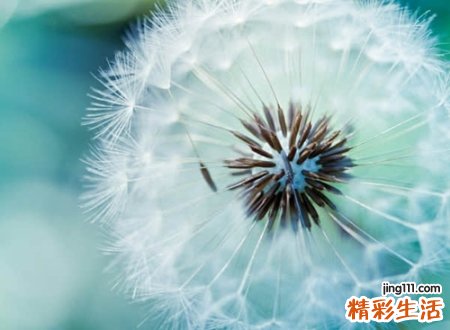 目字偏旁的字有哪些