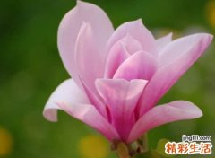 寓意比较好的名字