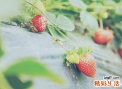 带来财运的微信名字