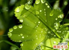 古诗词中截取的网名