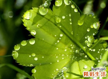 古诗词中截取的网名