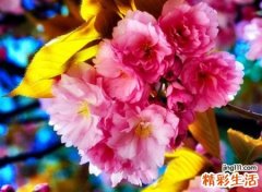 70岁老人简单一点的微信网名