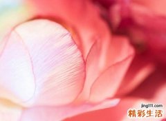 南姓古风名字有哪些