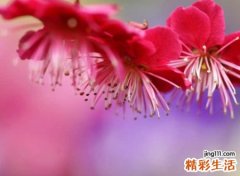 好念的英文名叠音