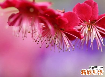 好念的英文名叠音