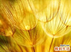 关于火的字有哪些