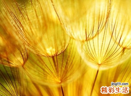 关于火的字有哪些