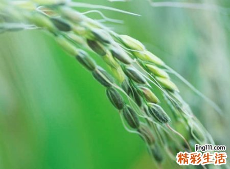 代表希望的个性名字