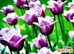 含玖字的昵称