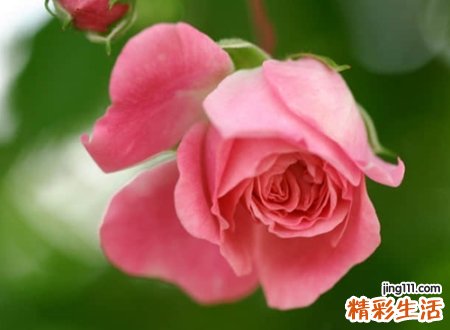 中老年人网名