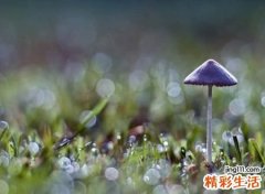 哪些字寓意好又不常见