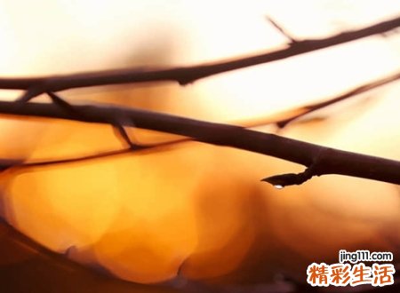 带火字的字有哪些适合取名