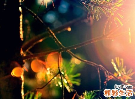 冰冷忧伤孤独的网名