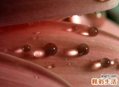 目字旁的字有哪些字