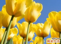 阳光令人心静的昵称