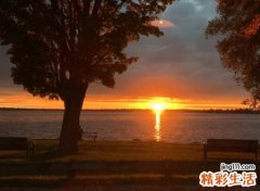 简短阳光的最幸运微信昵称精选