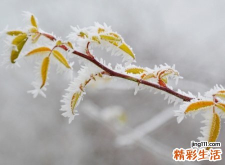 2022最火最好听的微信昵称