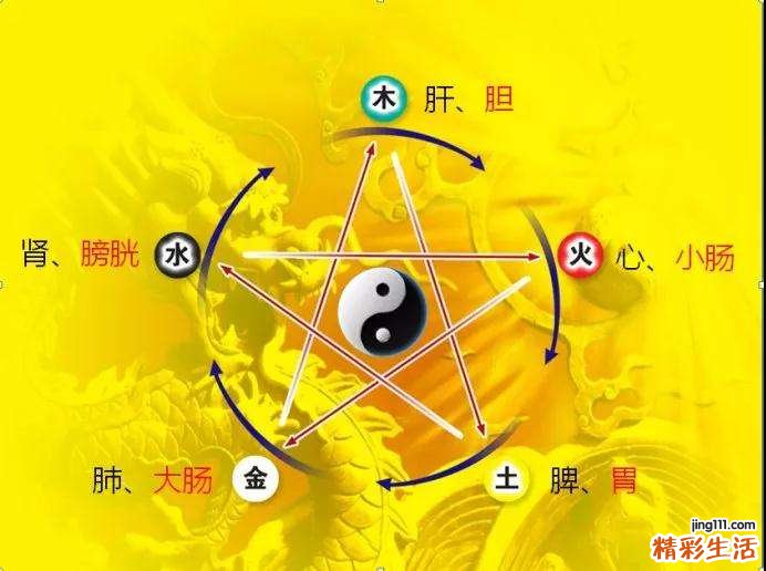 字的属性和五行,字的属性和五行秦