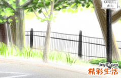 五行属水木的名字 五行缺水缺木的名字