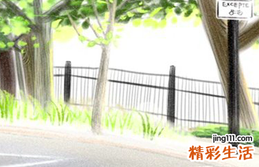 五行属水木的名字 五行缺水缺木的名字