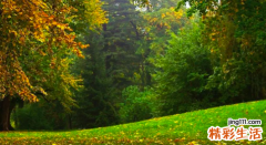 2022带来运气最好的网名 一辈子不换的微信网名