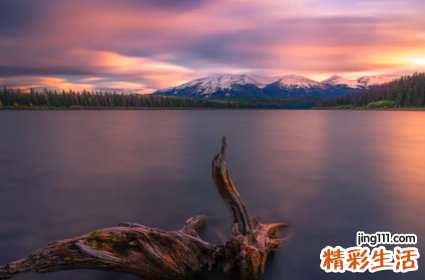 2022昵称大全带符号 2022网名符号特殊好看