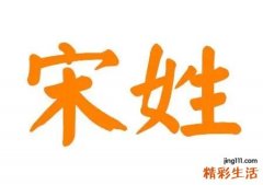 姓宋的男宝宝取名大全 姓宋高贵大气男生名字