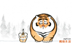 虎年五行缺金的男孩名字取名宝典 虎年出生的男孩五行缺什么