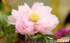 2022小孩取名大全 虎年出生小孩取名大全