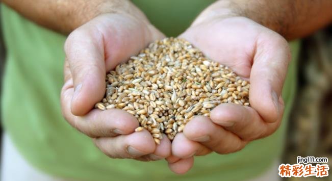 农业公司怎么起名字 农业公司取名字参考大全