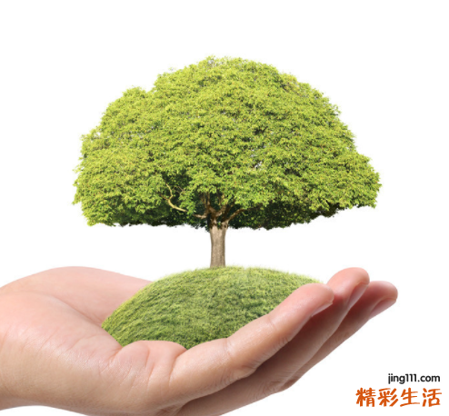 环保公司取名 环保公司的名字怎么取