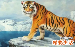 2022虎年男宝宝取名字大全集 2022虎年大气男孩名字