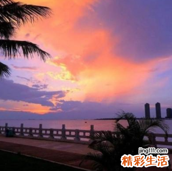 带花字有诗意的网名 有意境的网名