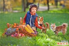 属虎男名字100分的名字 属虎男孩取名字大全集