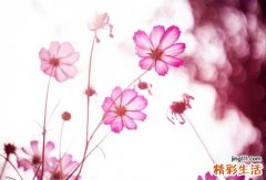 冷门好听的花名绰号 花名绰号大全