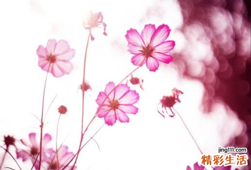冷门好听的花名绰号 花名绰号大全