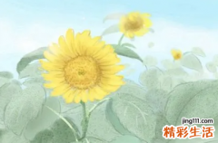 8月26日是什么节日 8月26日是黄道吉日吗
