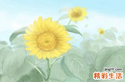 8月26日是什么节日 8月26日是黄道吉日吗
