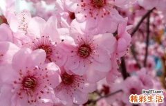 8月27日是什么节日 8月27日黄历吉日查询