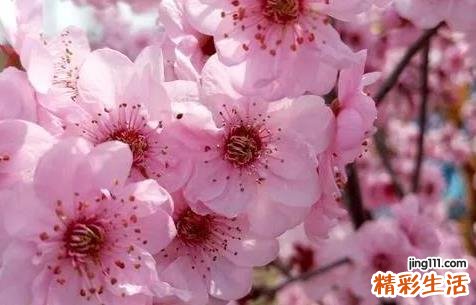 8月27日是什么节日 8月27日黄历吉日查询