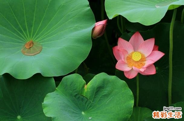 8月23日是什么节日 2022年8月23日是吉日吗