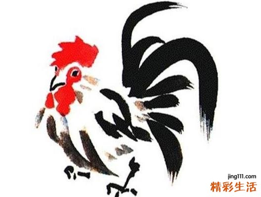属鸡2023年有坎吗 属鸡人2023年运势及运程