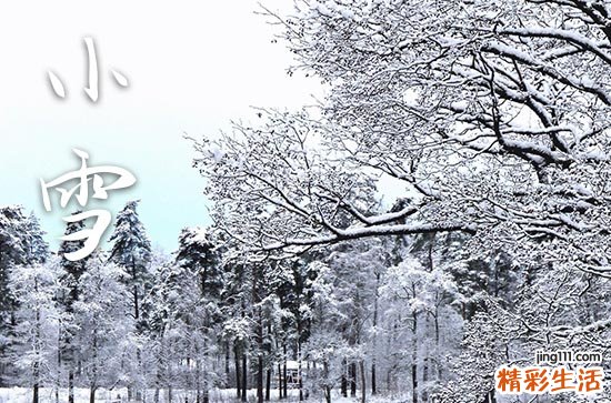 小雪节气是哪天2023