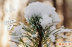 2023年节气小雪时间是什么时候
