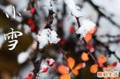 2023小雪是几月几日几时几分